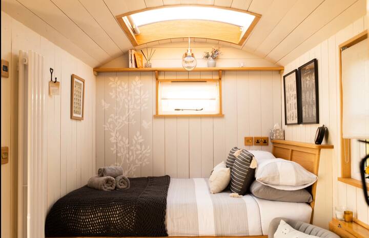 Habitación 9