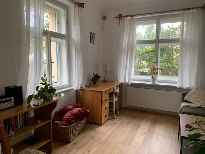 Art Nouveau Villa With Garden Close To Center - Prag