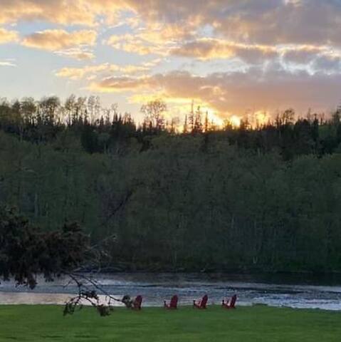 The Cat Rest gallery image 5