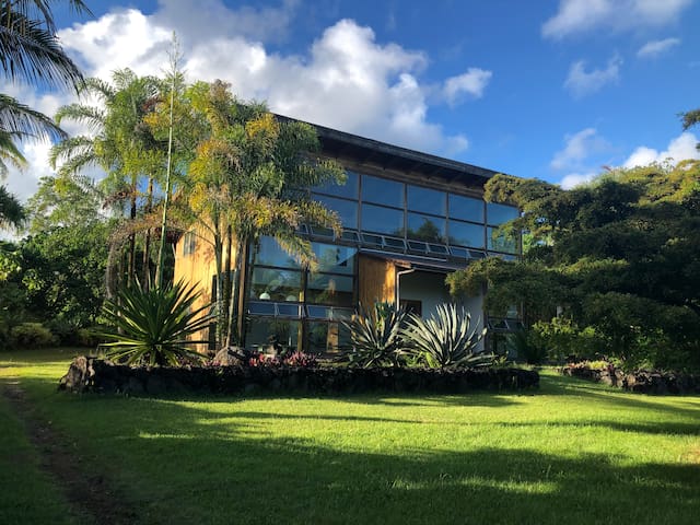 Jungle Haven: Oceanfront Eco Villa On Fruit Farm