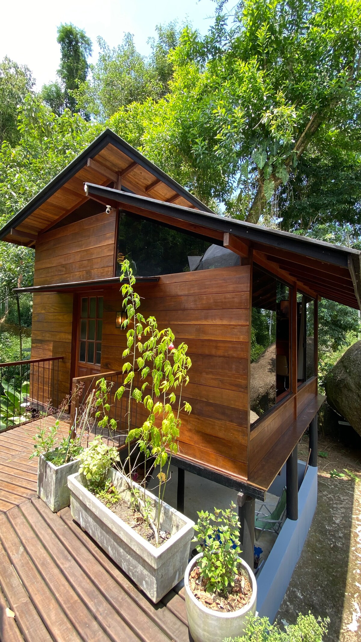 A geodesic dome house constructed with wood and glass is enveloped by lush greenery. The exterior showcases a blend of natural wood elements and modern design. Potted plants line the pathway, adding vibrant greenery to the serene setting.