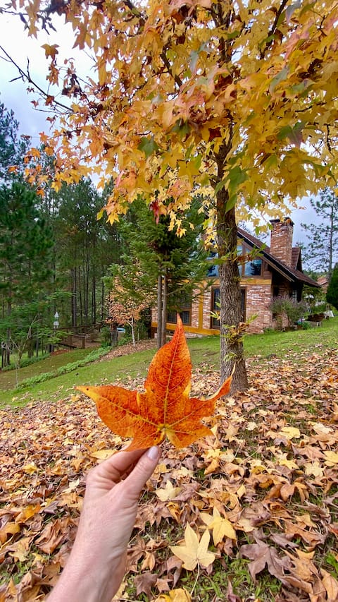 Mountain house | unforgettably cozy