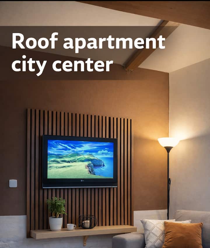 Roof Apartment In City Centre - Brno