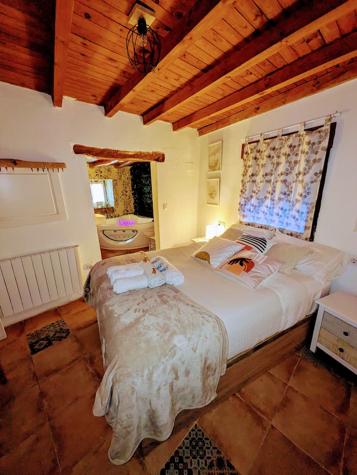 Habitación doble y Jacuzzi 