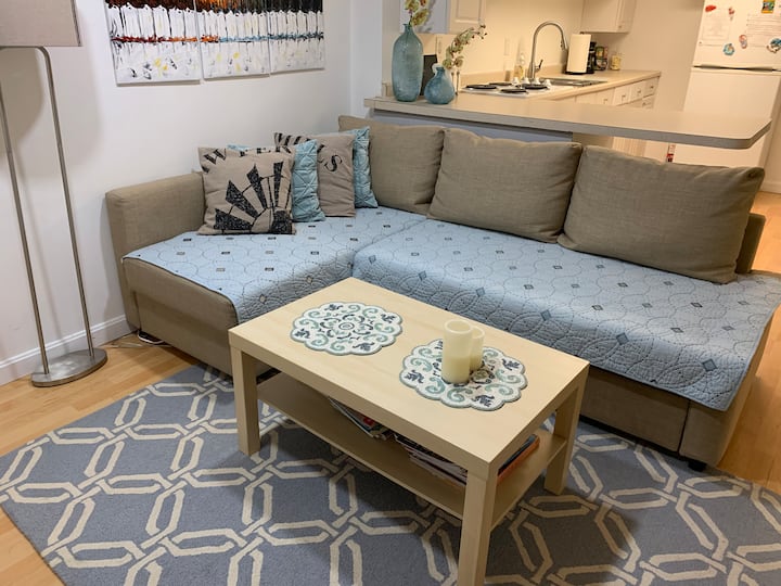 1 Bedroom Basement Apartment - 퀸시