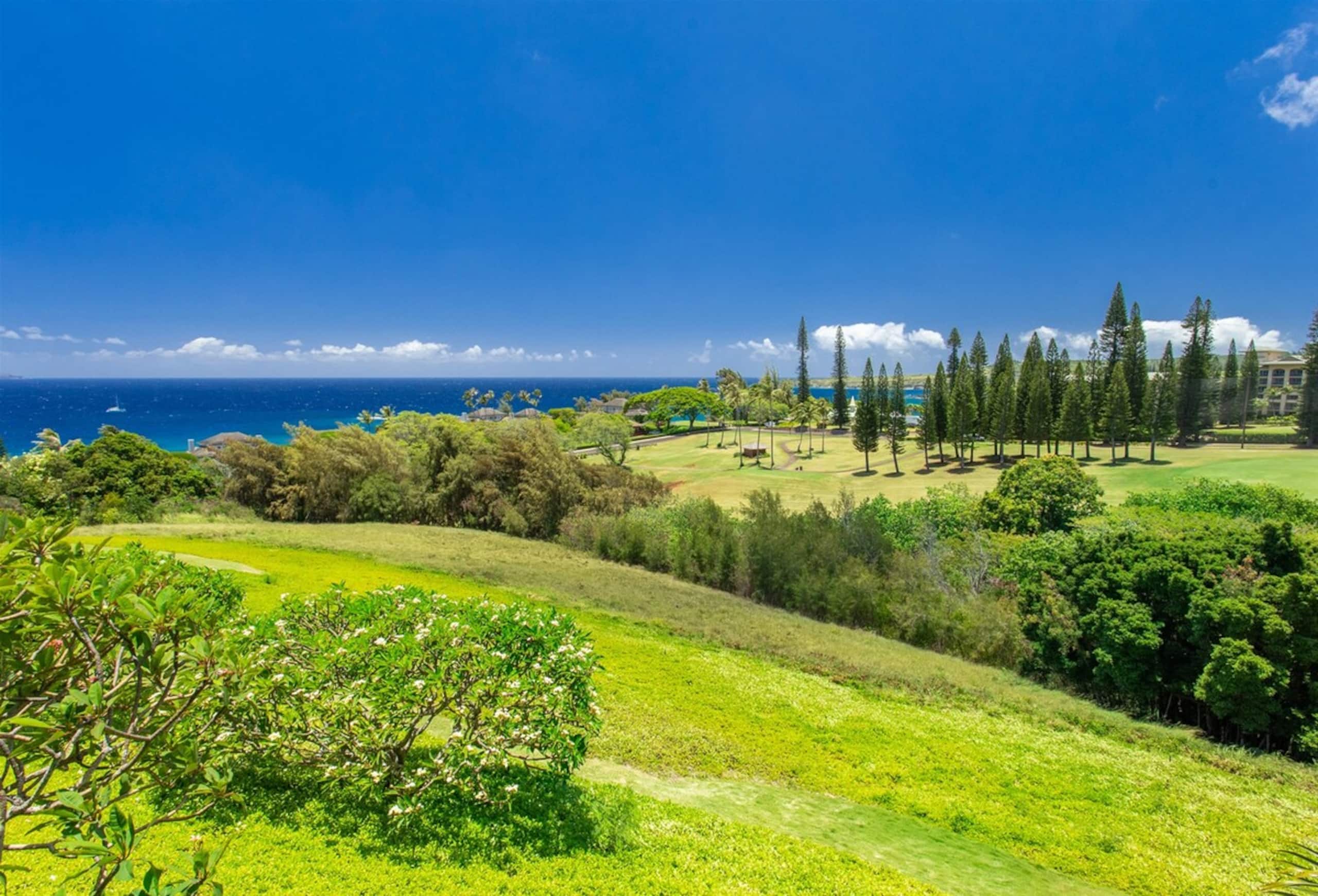 Villa in Lahaina · ★4.94 · 1 bedroom · 2 beds · 2 baths - Image 43