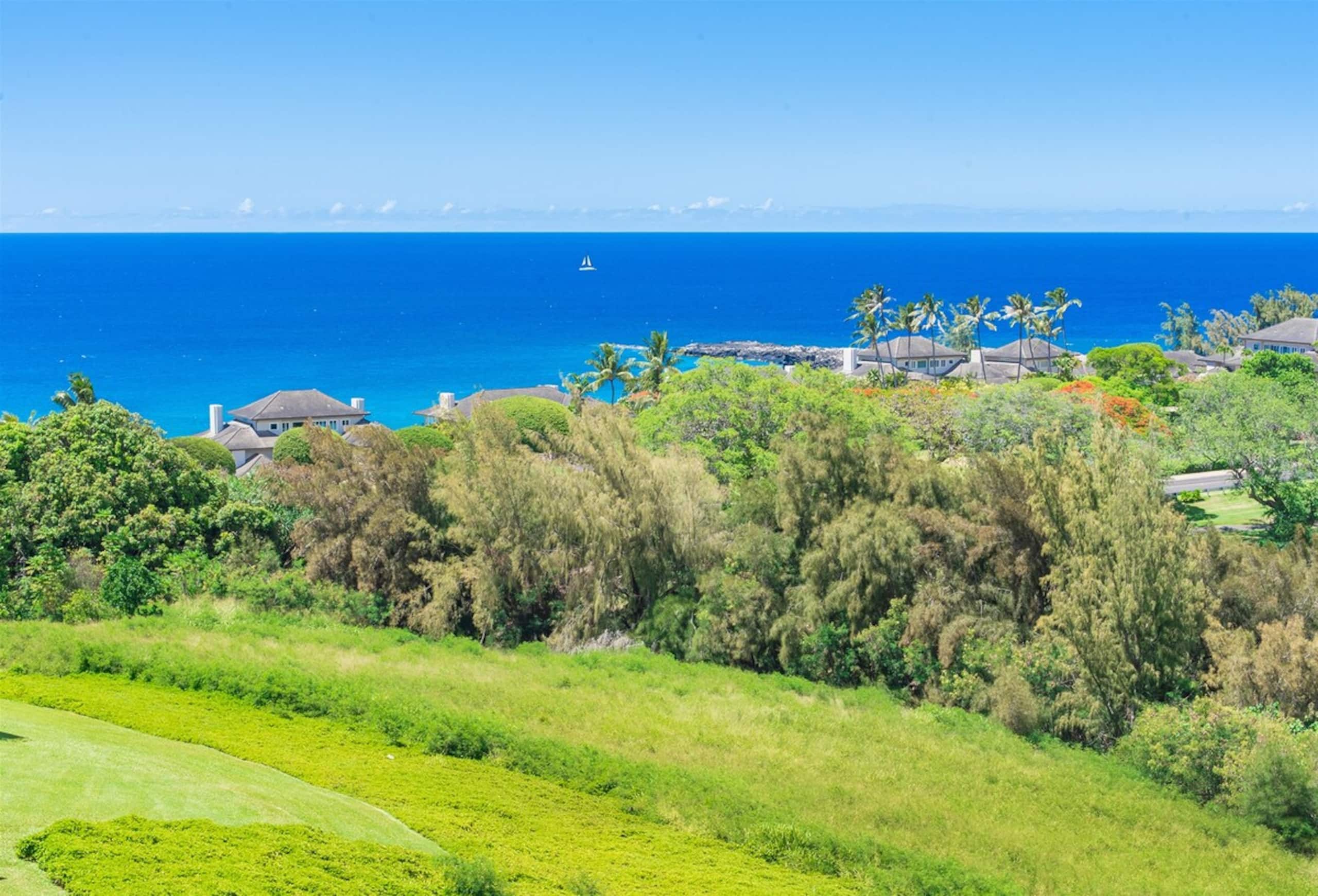 Villa in Lahaina · ★4.94 · 1 bedroom · 2 beds · 2 baths - Image 42