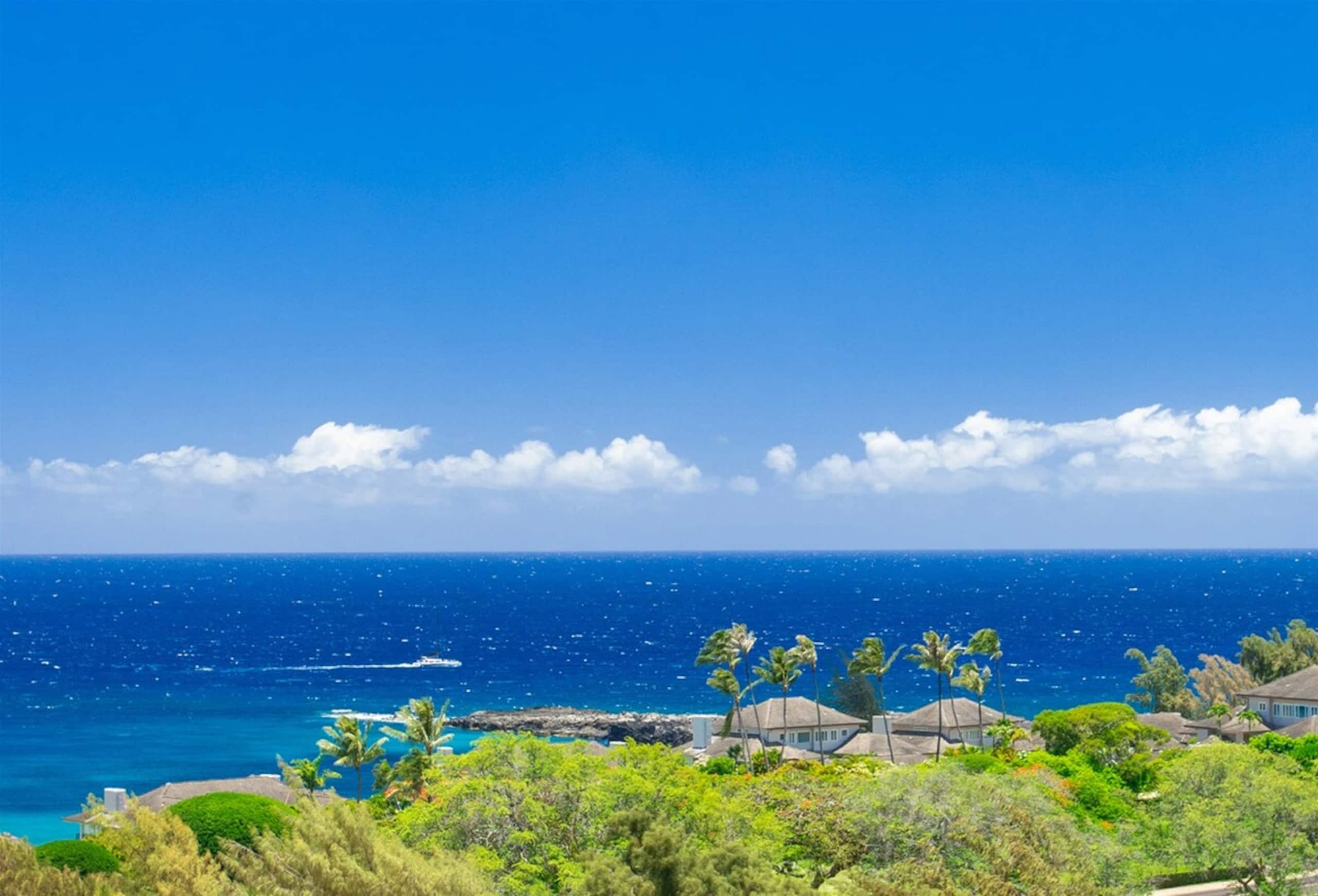 Villa in Lahaina · ★4.94 · 1 bedroom · 2 beds · 2 baths - Image 15