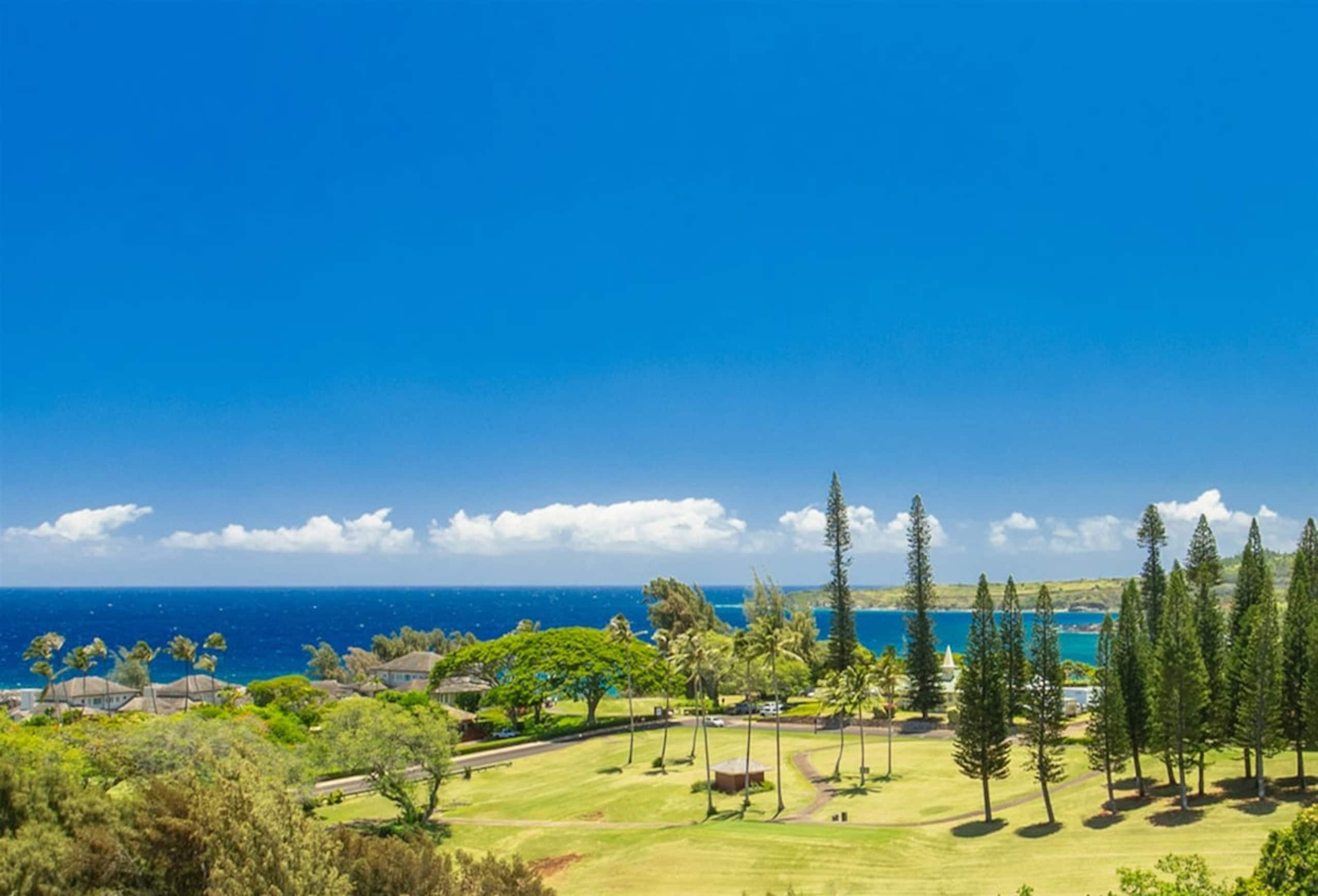 Villa in Lahaina · ★4.94 · 1 bedroom · 2 beds · 2 baths - Image 14