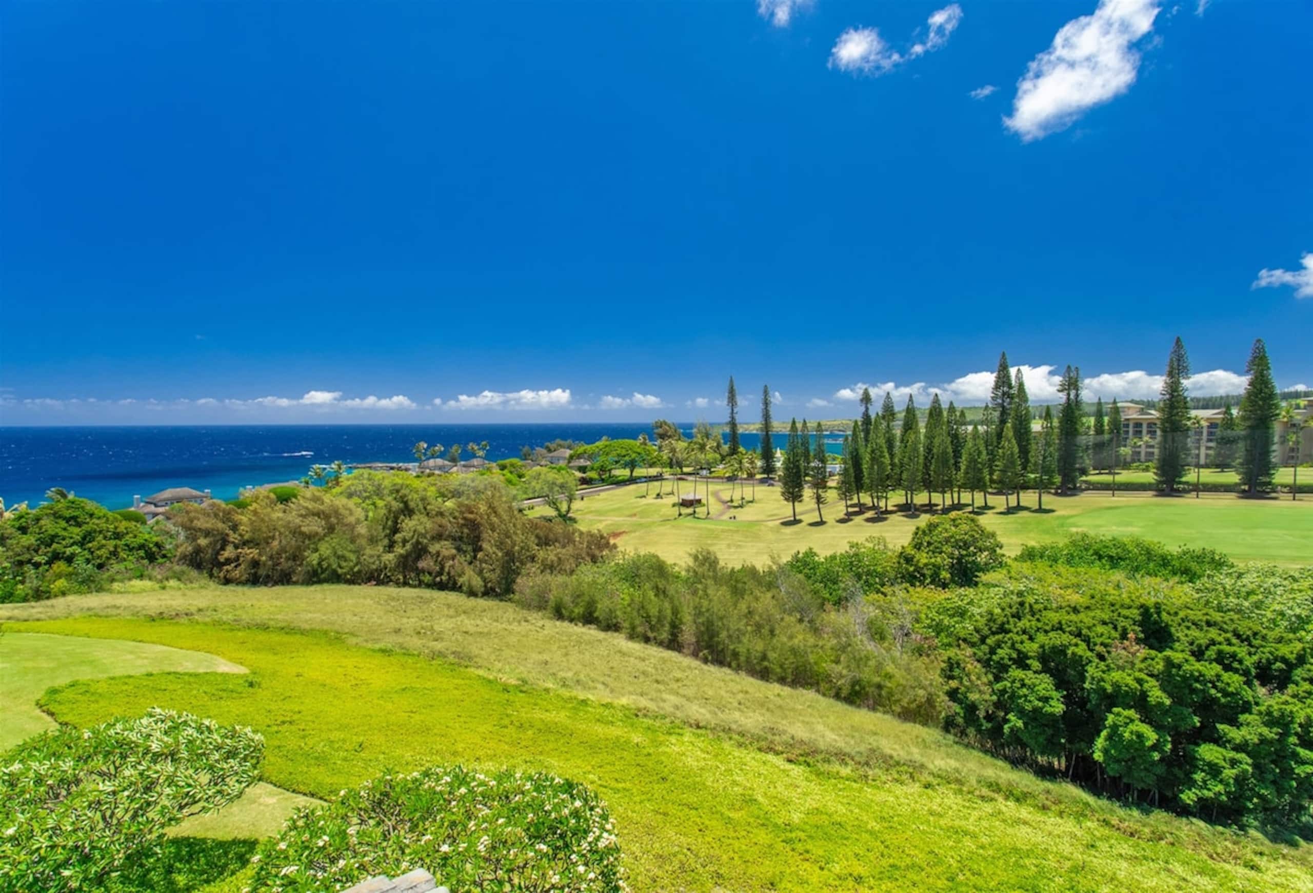 Villa in Lahaina · ★4.94 · 1 bedroom · 2 beds · 2 baths - Image 13