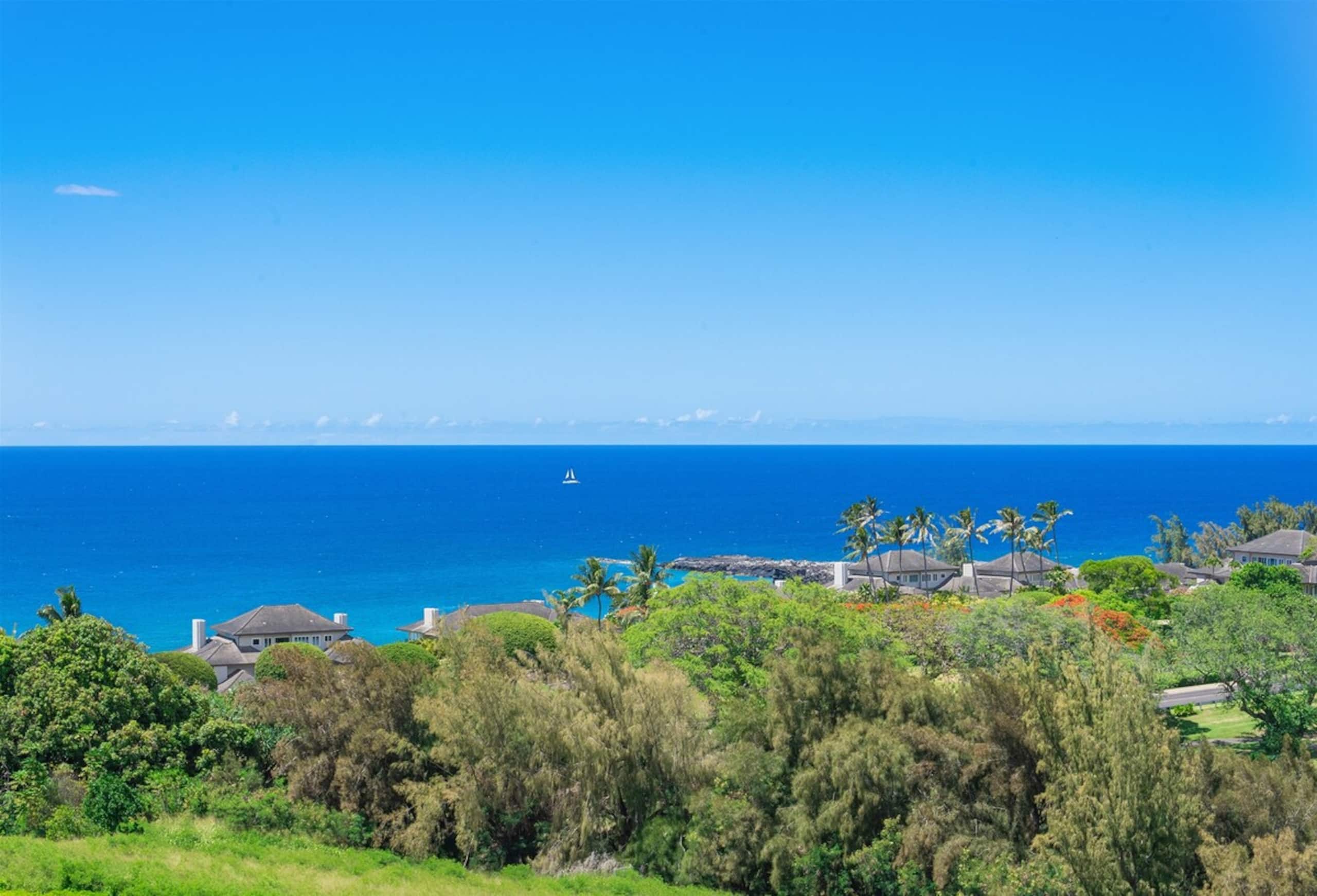 Villa in Lahaina · ★4.94 · 1 bedroom · 2 beds · 2 baths - Image 44