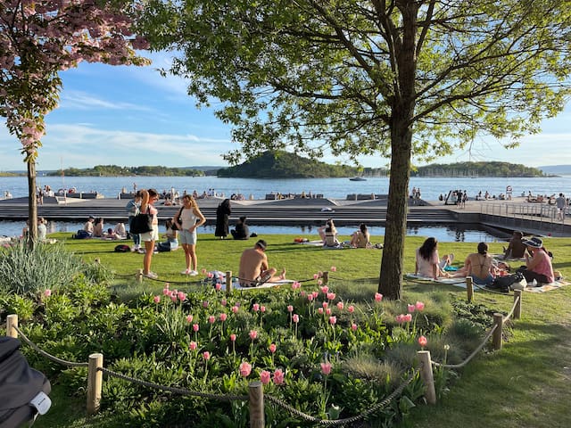 Moderne leilighet Oslo, Sørenga, 50m fra stranda!