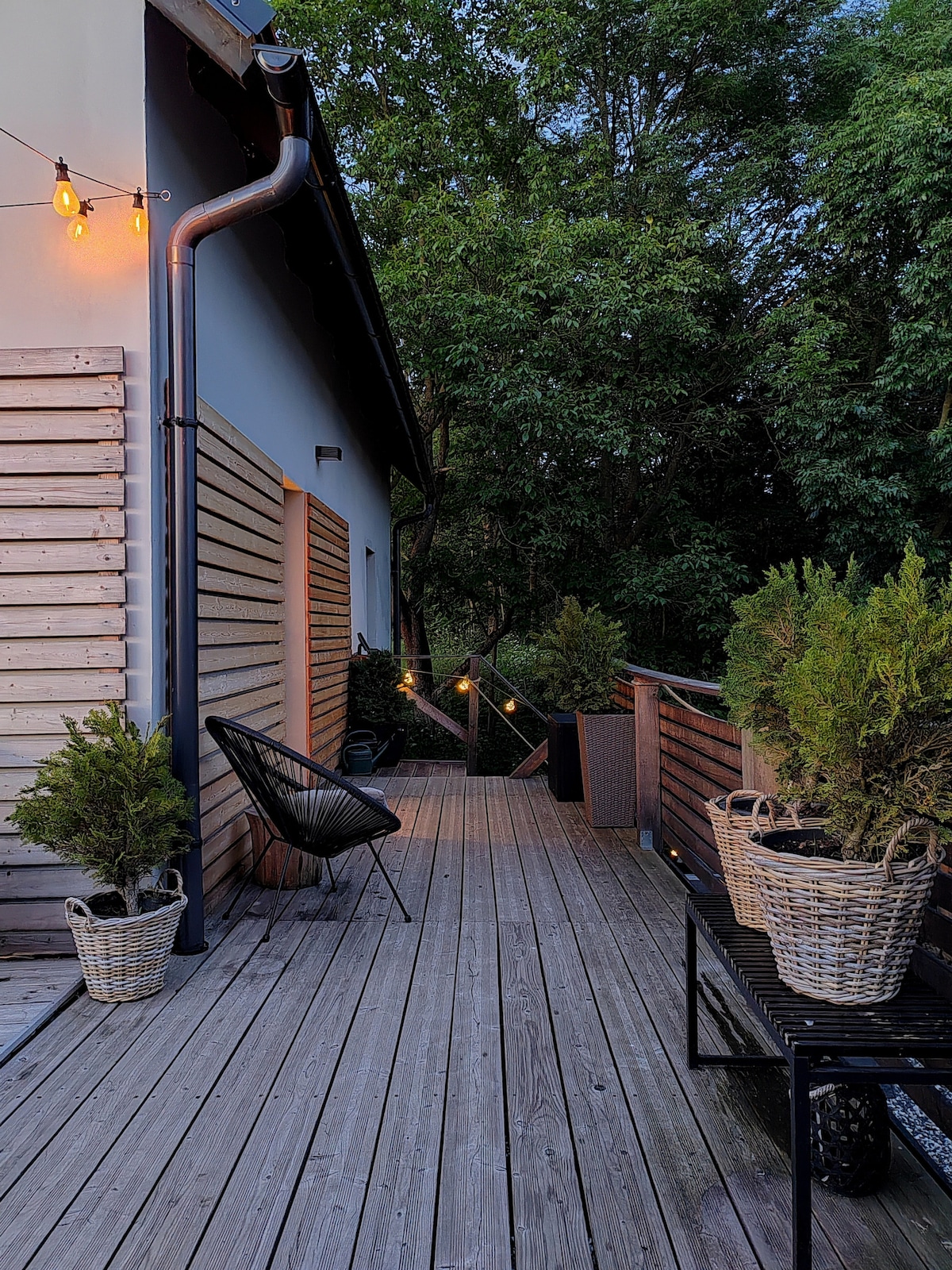 A wooden deck illuminated by soft lighting leads towards the entrance of the cabin. Planters with greenery line the path, while a comfortable chair and bench provide seating options amidst the tranquil surroundings.