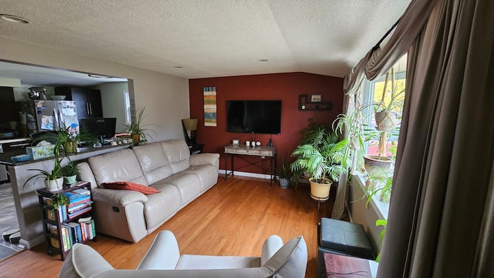 Safari Room In Centrally Located Suburban Home - Novi, MI