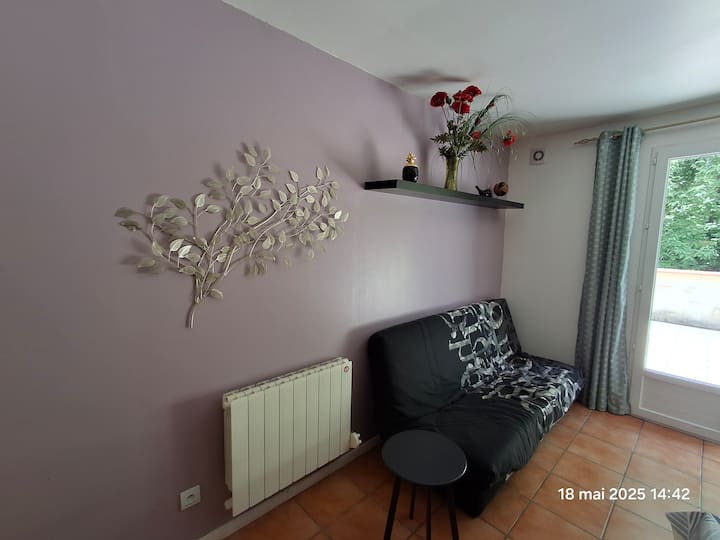 Logement Complet 2 Chb Au Bord De Lac Baignable - Tarn