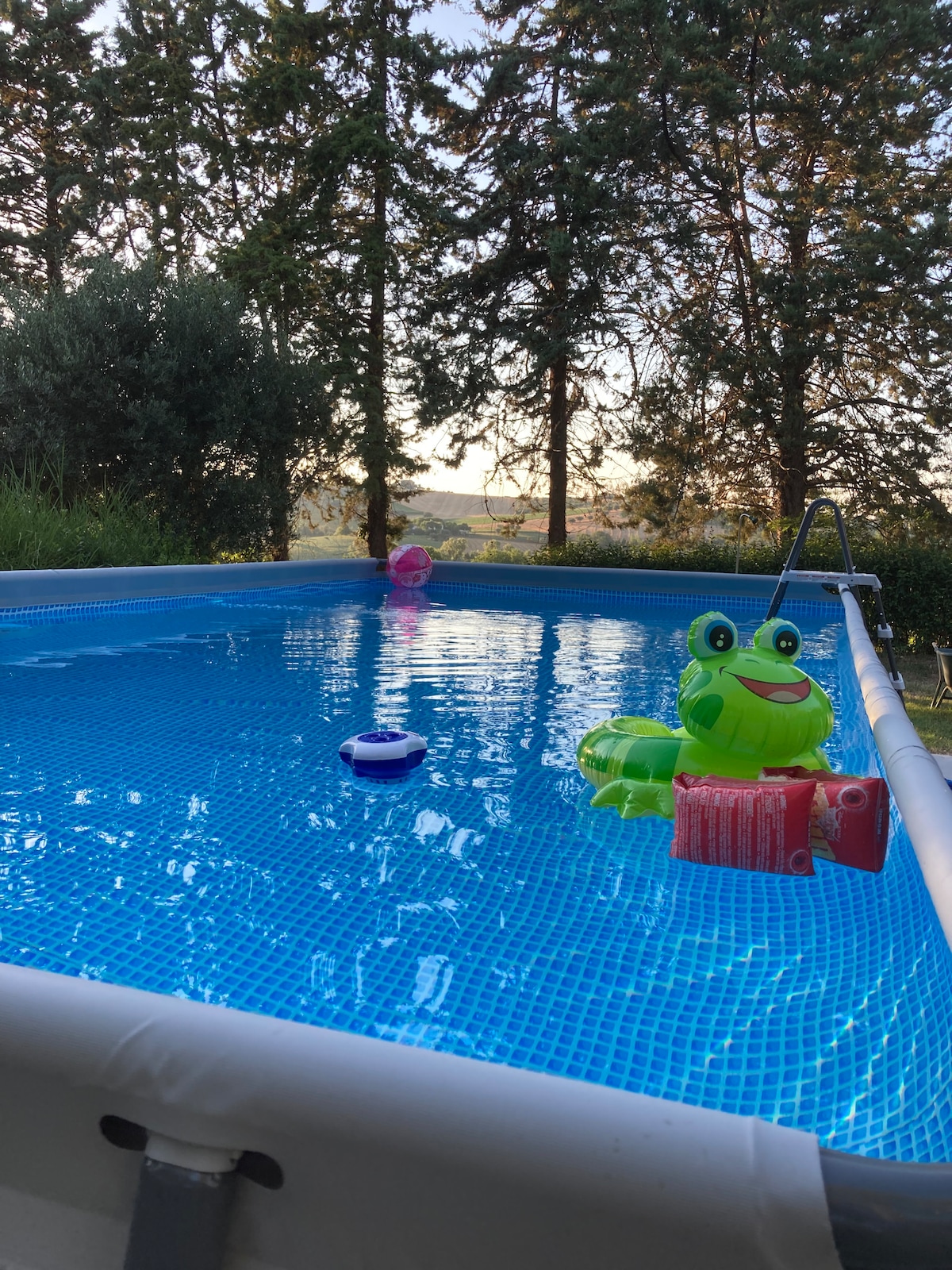 A calming pool is surrounded by greenery, featuring inflatable toys floating on the clear water. The scene is set against a backdrop of tall trees and a distant landscape, with soft sunlight illuminating the area.