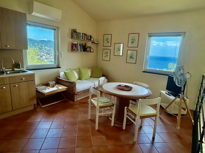 "Ulivi Nel Blu" Country House With Pool - Portofino