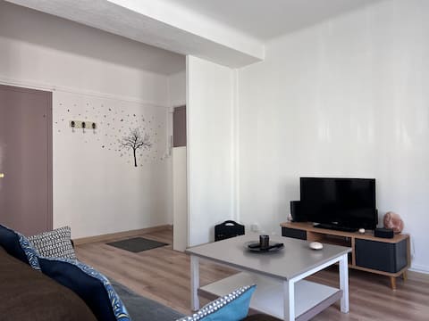 Annonce Airbnb populaire: 3* 65 m2 air-conditioned apartment near the city center à Alès