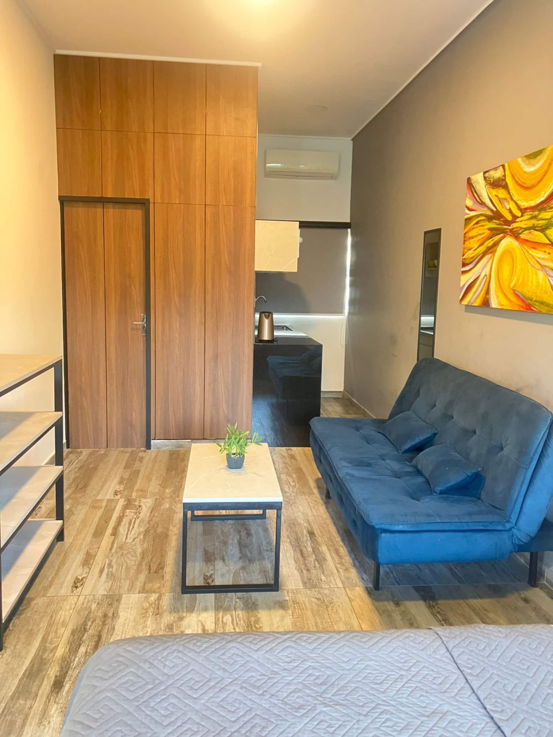 Apt. 1: Spectacular Apartment in Santa Cruz