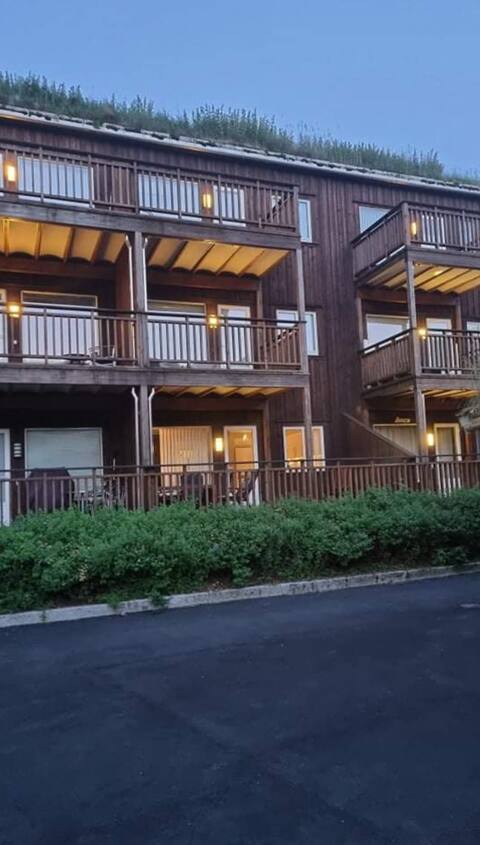 Great apartment for rent, Sinnes Terrasse, Sirdal