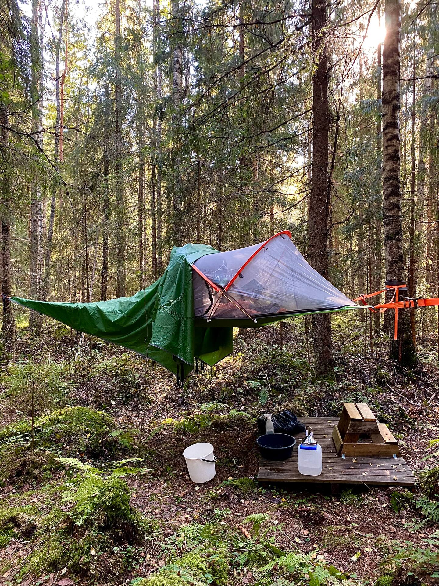 Eco-friendly Tree Tent&  Nature Protected Forest 3