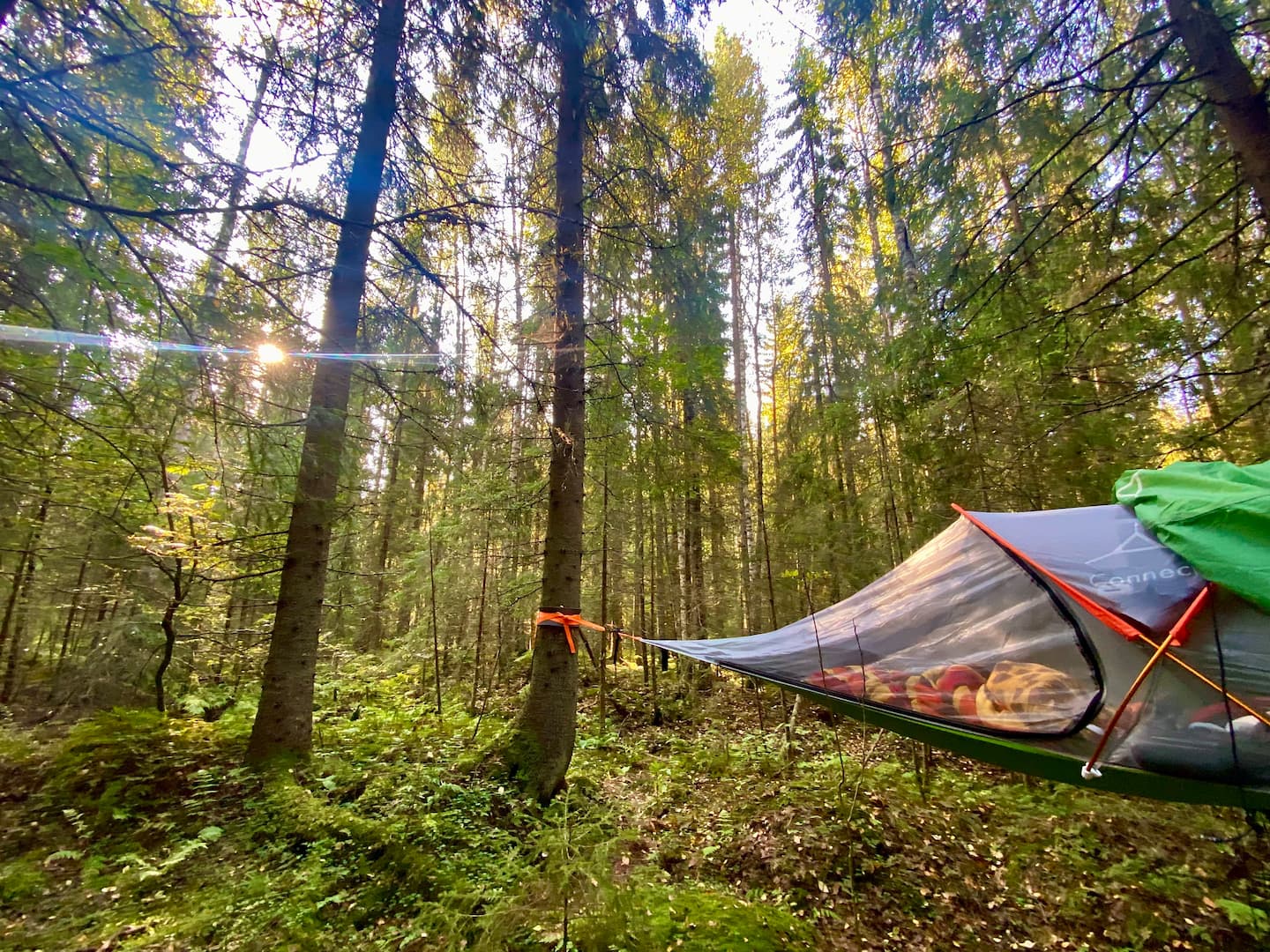 Eco-friendly Tree Tent&  Nature Protected Forest 4