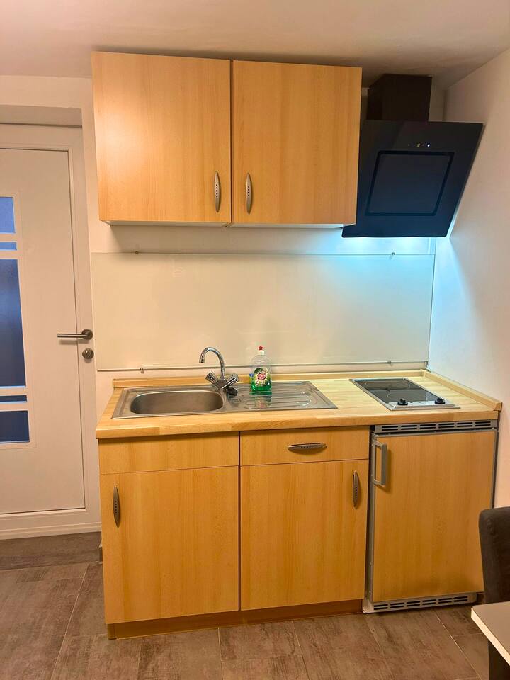 Orion: 2-room Apartment With Kitchen & Bathroom - Homburg