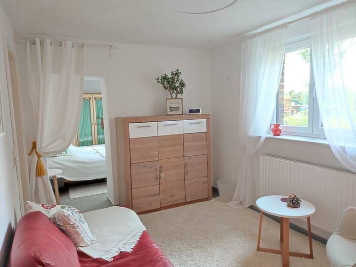 Confortable Appartement Avec Jardin Sur L'elbe - Dresde