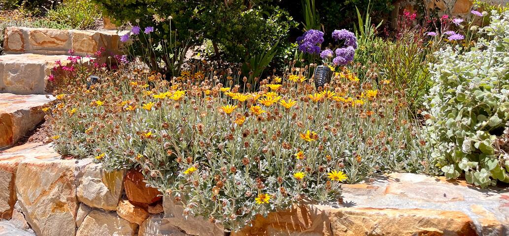 Lux Villa , Housekeeper, pool, Hottub and solar gallery image 2