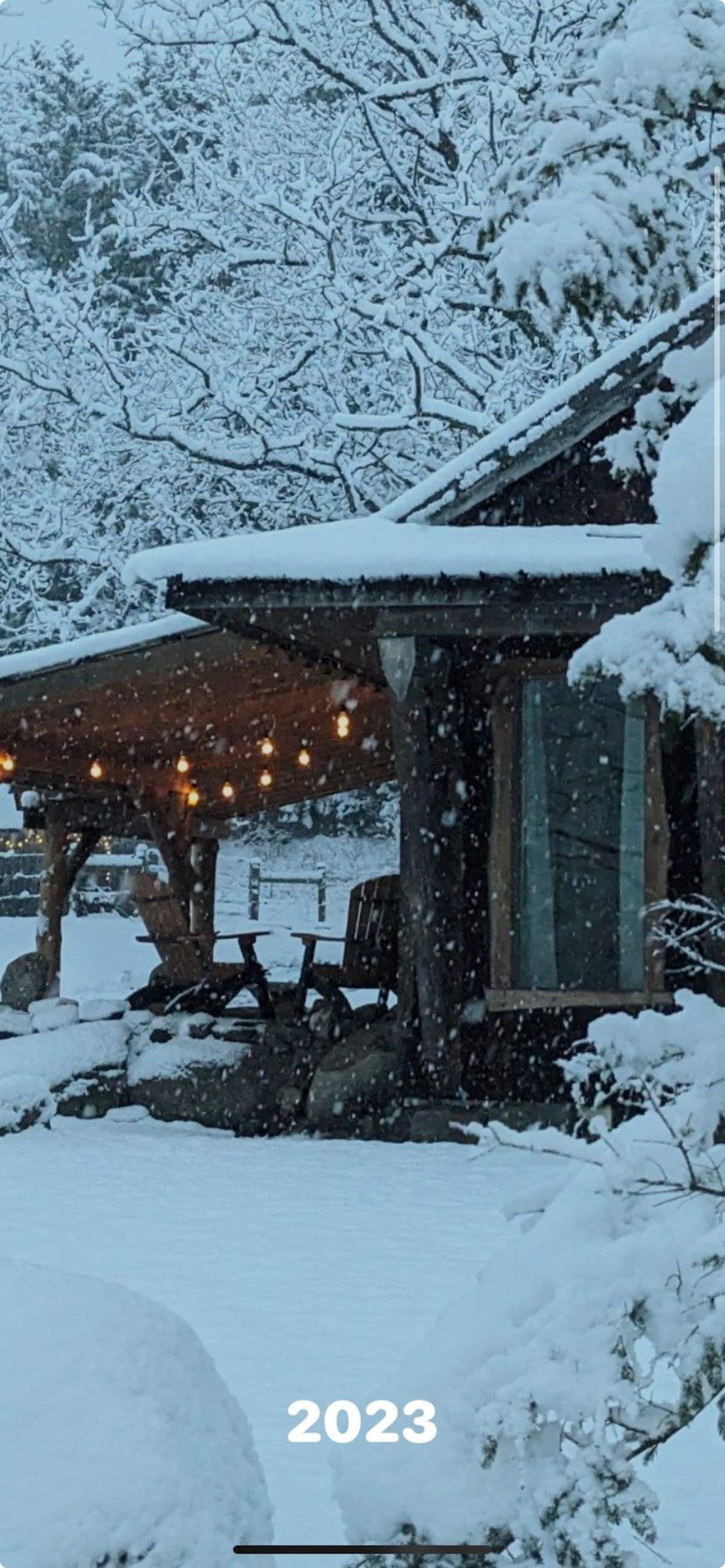 The Boujee Bungalow cabin set in a meadow near the Finger Lakes National Forest