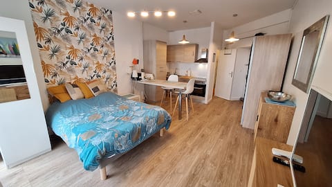 Top performing Airbnb: Beautiful studio 50 m from sea, city center, parking, air conditioning in La Grande Motte