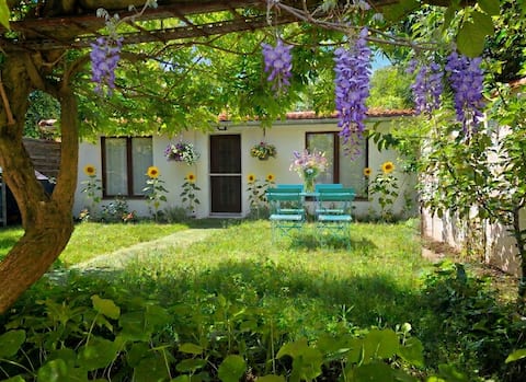 Top performing Airbnb: ★House with garden near metro - peaceful location★ in Maisons Alfort