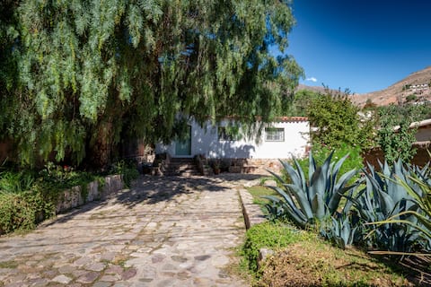 Spacious house with garden and private parking