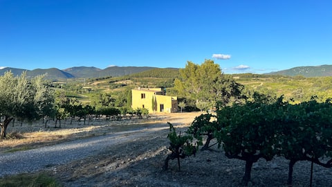 The Cabanon des Vignes