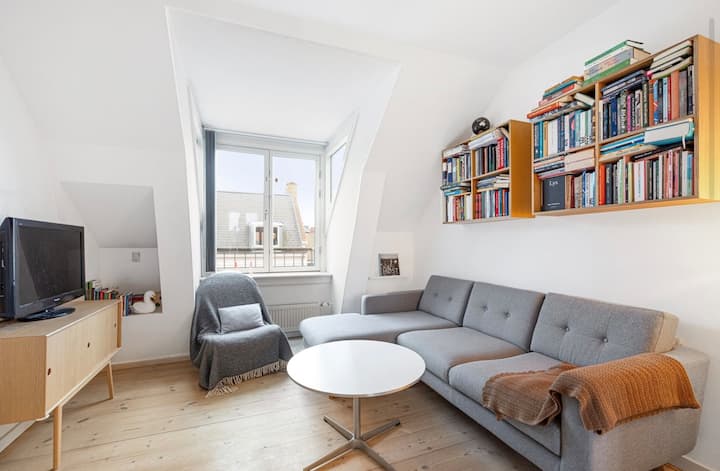 Sunny Penthouse In Christianshavn - Copenhague