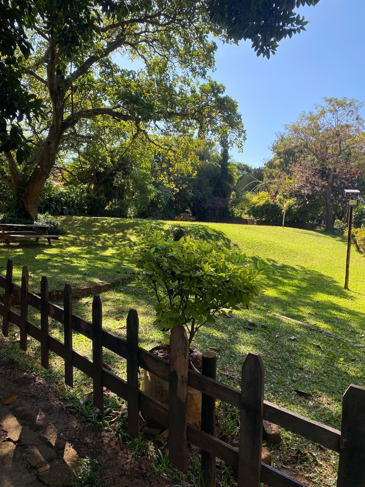 A lush, green garden area is framed by a low wooden fence. Tall trees provide shade over the space, while a well-maintained lawn extends towards the background. A wooden picnic table is visible, inviting outdoor gatherings in the serene setting.