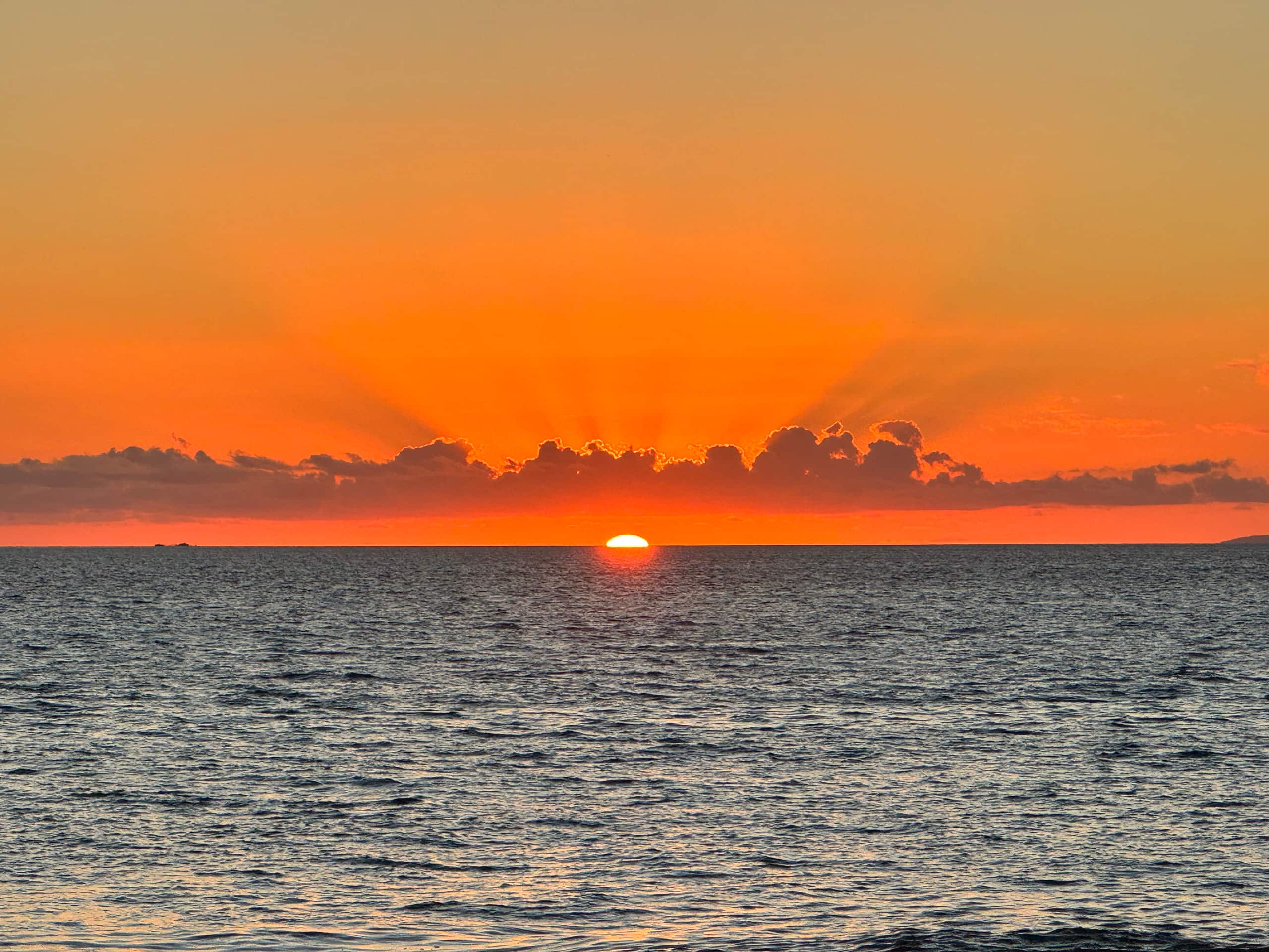 Condo in Kihei · ★4.99 · 1 bedroom · 2 beds · 2 baths - Image 82