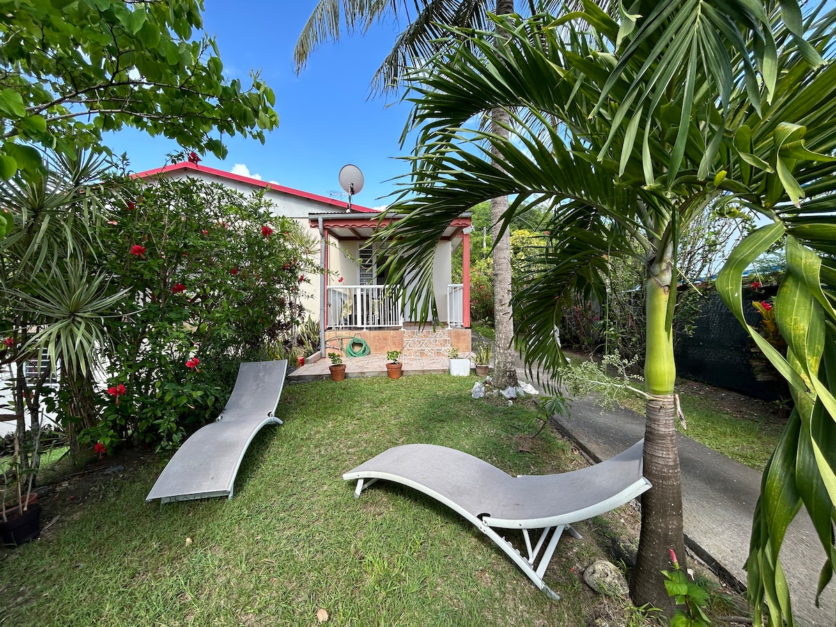 Lounge chairs are positioned on a grassy area in front of a brightly colored single-story house. Tropical plants and palm trees surround the space, creating a serene outdoor setting. A pathway leads to the entrance, and a satellite dish is visible on the roof.