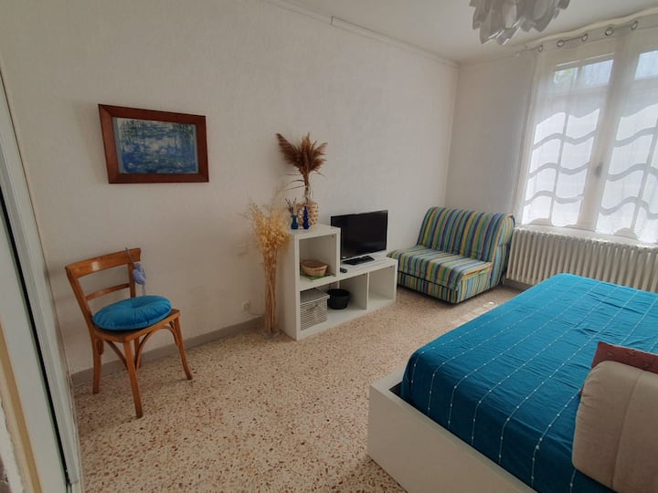 Maison Avec Jardin, Petite Piscine, Arles Camargue - アルル
