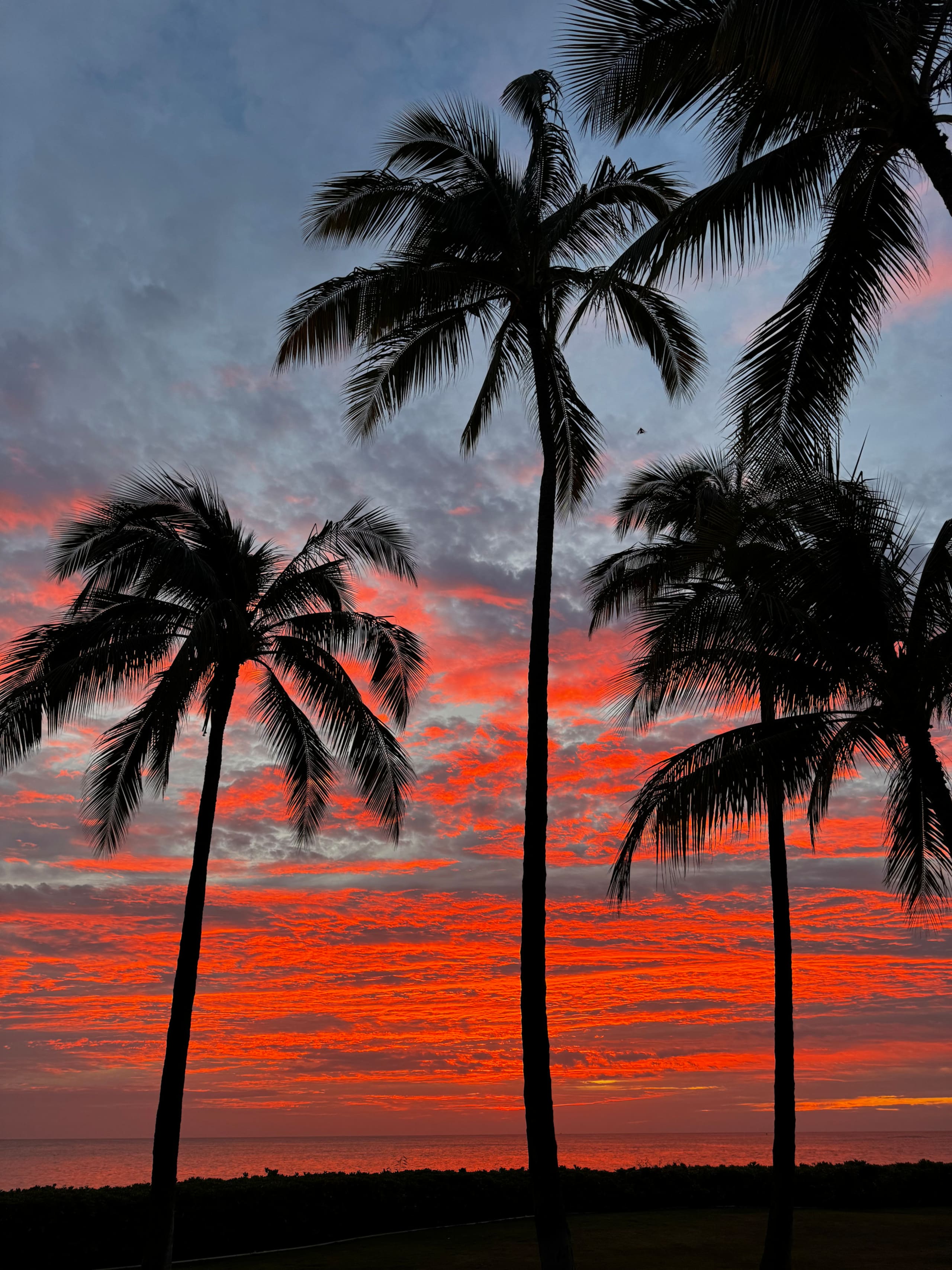 Beachfront condo in Waikiki - Image 18