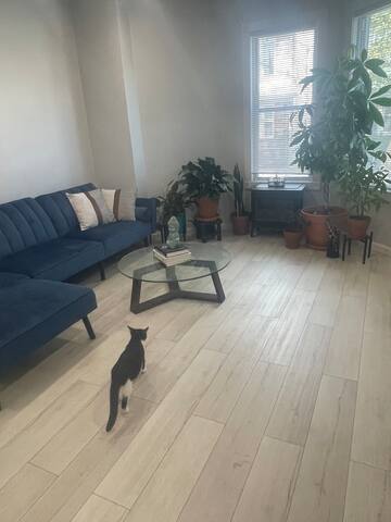 Cozy Ironbound oasis gallery image 3