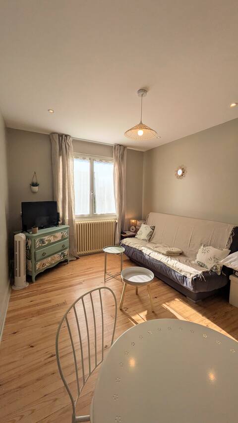 House in Jonzac center, garden, spa