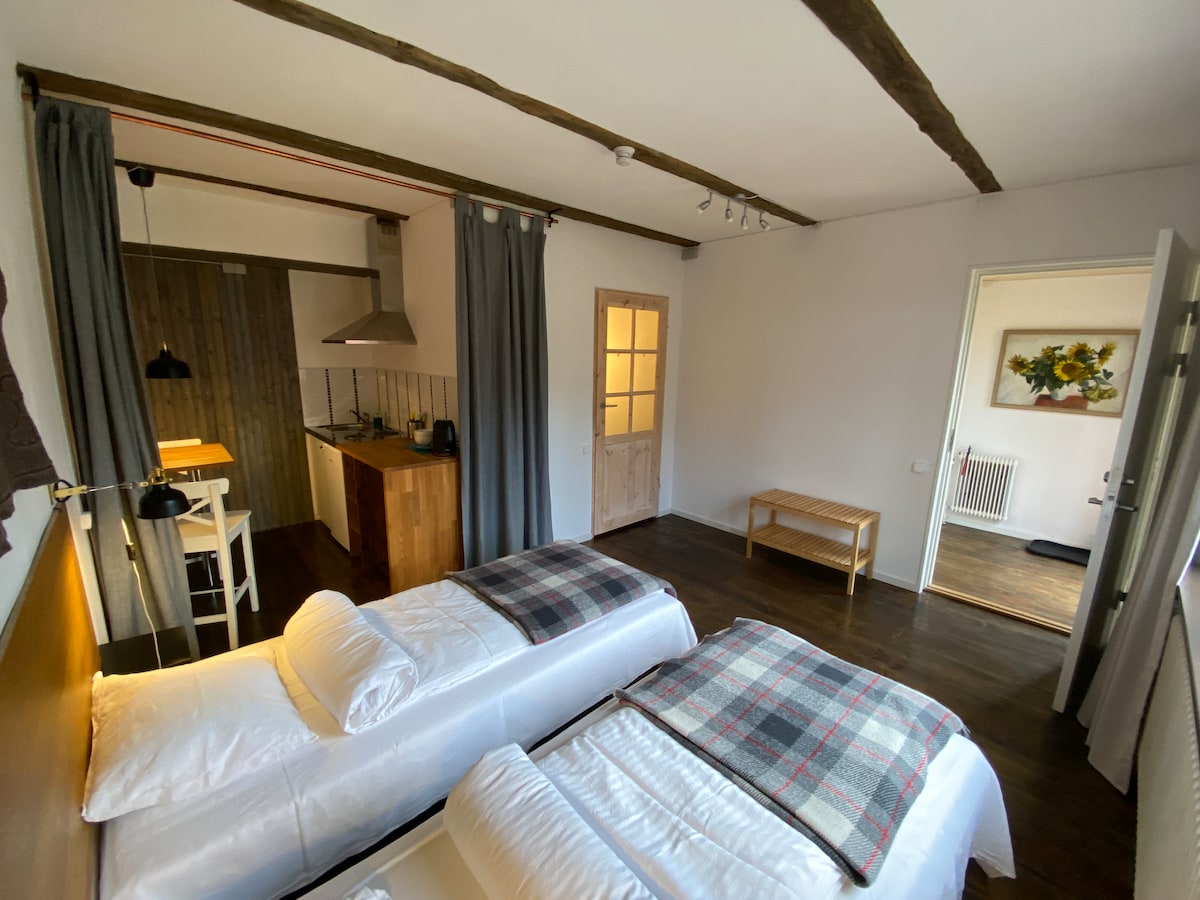 The room features two spacious beds dressed in crisp white linens, each topped with a patterned throw. A kitchenette with modern appliances is visible in the background, along with a wooden bench and a door leading to another area. Natural light enters through a nearby window.