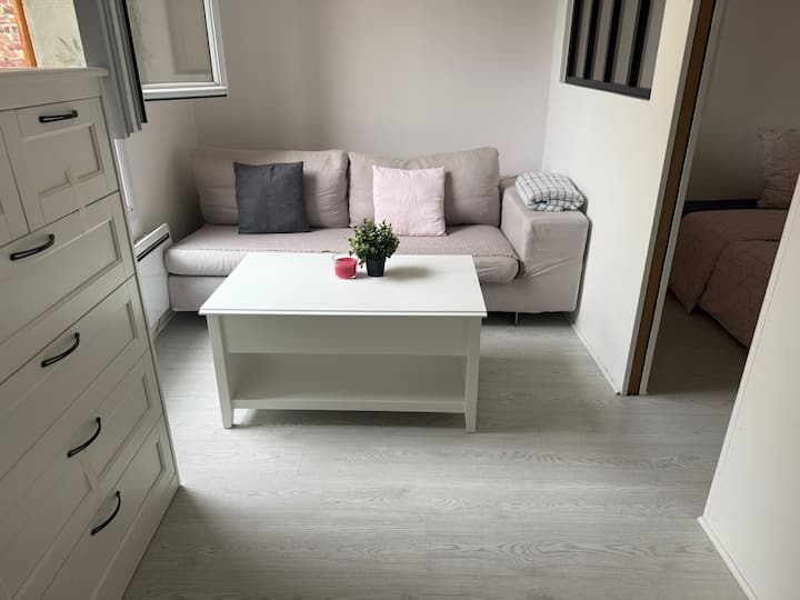 Bel Appartement Montreuillois Proche Vincennes - Vincennes