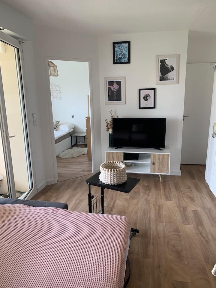 Appartement Moderne Climatisé Lattes Centre - Lattes
