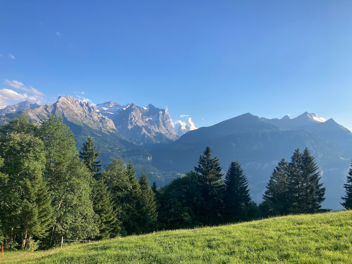 A scenic view of the surrounding mountains is captured, showcasing a mix of rocky peaks and lush green hills. Tall trees frame the foreground, providing a sense of tranquility, while a clear blue sky stretches overhead, enhancing the natural beauty of the landscape.