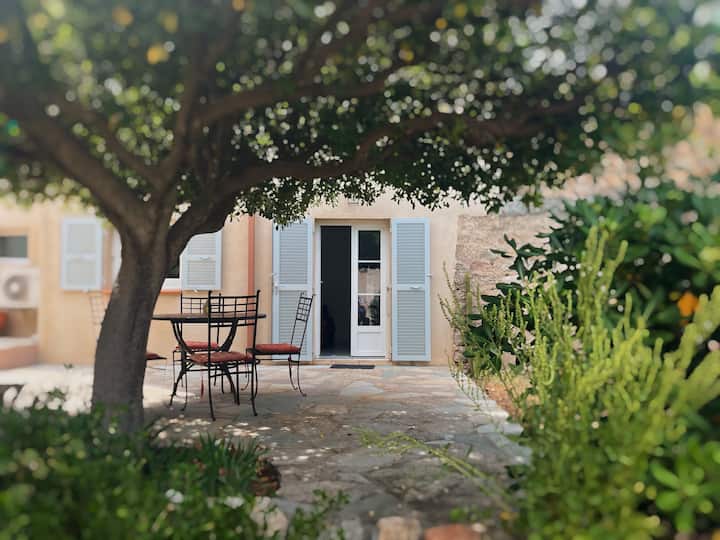 Rez De Jardin Sur La Mer - Corse - Algajola