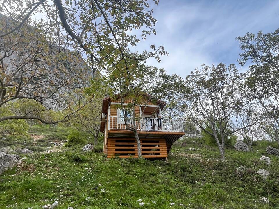 A wooden lodge is positioned on an elevated hill, surrounded by trees and lush greenery. A spacious deck with railings offers outdoor seating. The structure features large windows that provide natural light and a view of the surrounding nature.