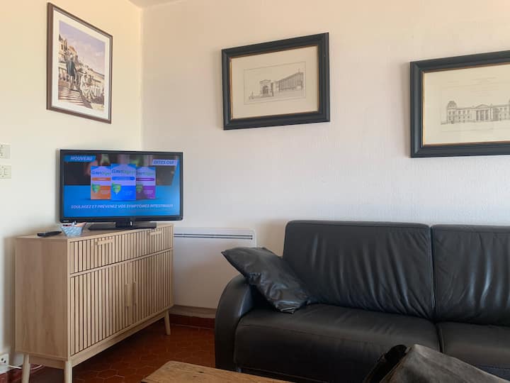 Appartement Avec Terrasse Face à La Mer - Le Barcarès