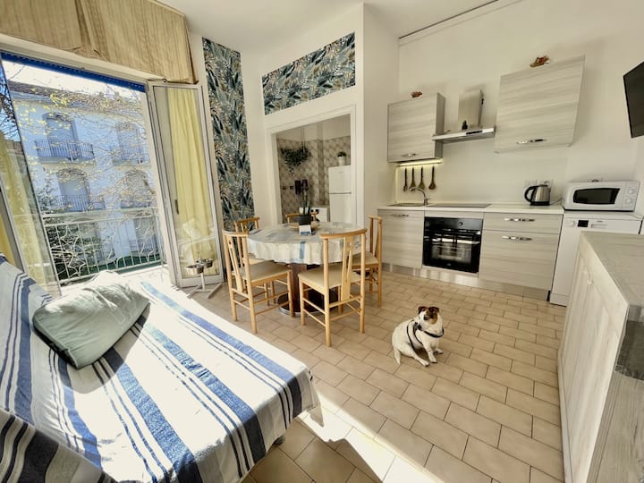 Petlyapartments #6 - Bellaria-Igea Marina